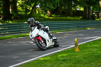 cadwell-no-limits-trackday;cadwell-park;cadwell-park-photographs;cadwell-trackday-photographs;enduro-digital-images;event-digital-images;eventdigitalimages;no-limits-trackdays;peter-wileman-photography;racing-digital-images;trackday-digital-images;trackday-photos